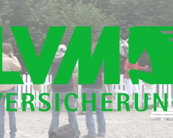 Stuten- und Fohlenschau Münster-Handorf 2018