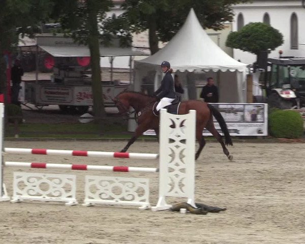 Reitturnier Schnarup-Thumby 2021