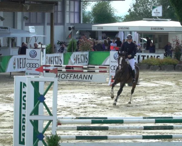 Reitturnier Hellefeld 2021
