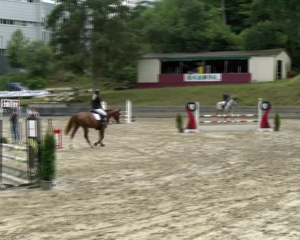 Reitturnier Siegen 2021