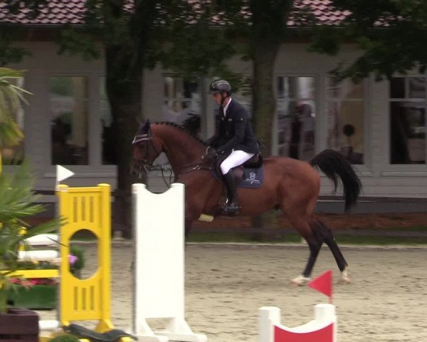 Reitturnier Schnarup-Thumby 2021