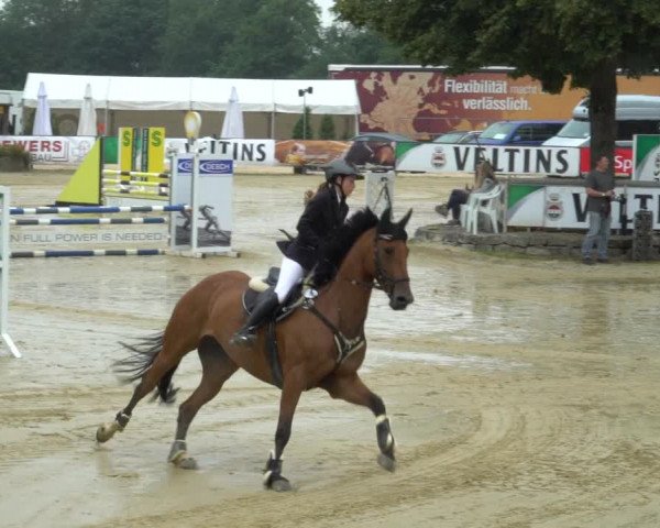 Reitturnier Hellefeld 2021