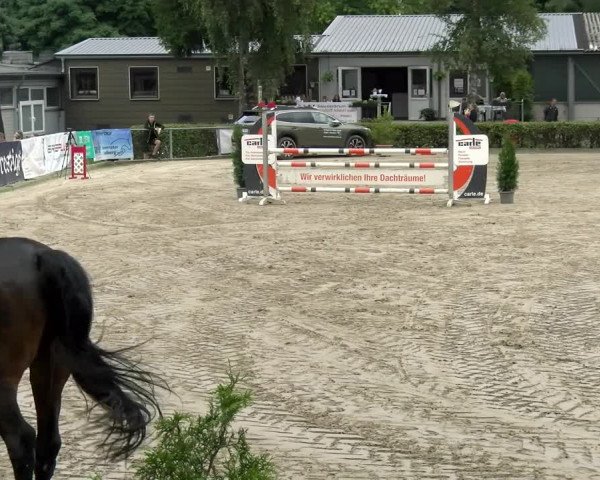 Reitturnier Siegen 2021