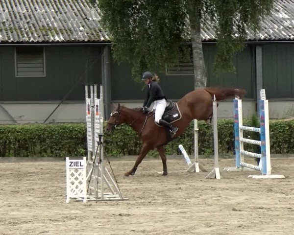 Reitturnier Siegen 2021