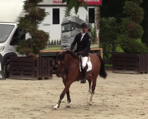 Reitturnier Schnarup-Thumby 2021