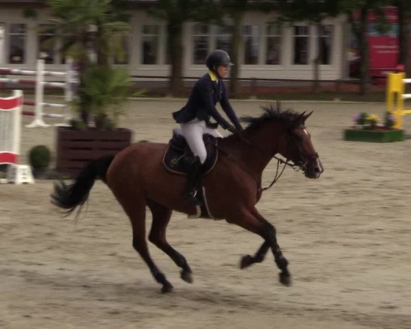 Reitturnier Schnarup-Thumby 2021