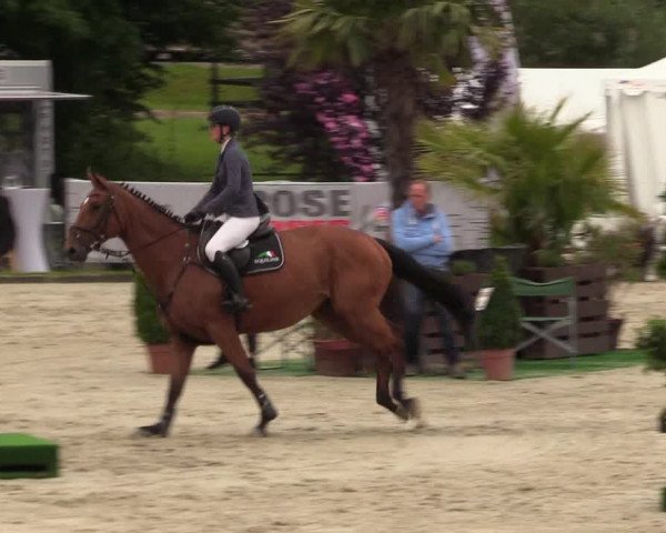 Reitturnier Schnarup-Thumby 2021