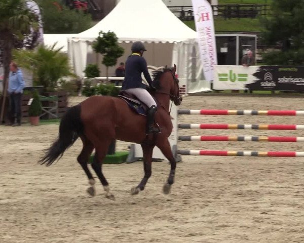 Reitturnier Schnarup-Thumby 2021