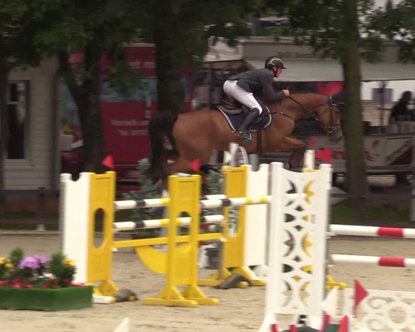 Reitturnier Schnarup-Thumby 2021
