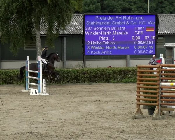 Reitturnier Siegen 2021