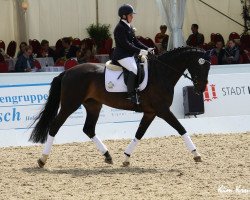 broodmare Rockzipfel (Westphalian, 2007, from Rock Forever NRW)