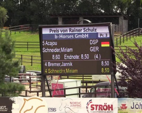 Reitturnier Schnarup-Thumby 2021