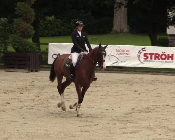 Reitturnier Schnarup-Thumby 2021