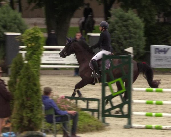 Reitturnier Schnarup-Thumby 2021