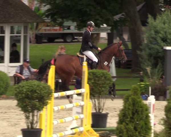 Reitturnier Schnarup-Thumby 2021