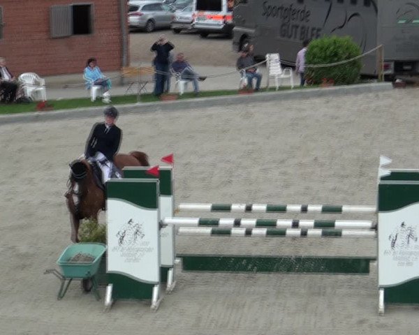 Reitturnier Monheim - Gut Blee 2021