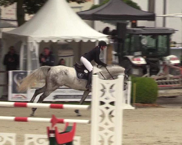 Reitturnier Schnarup-Thumby 2021