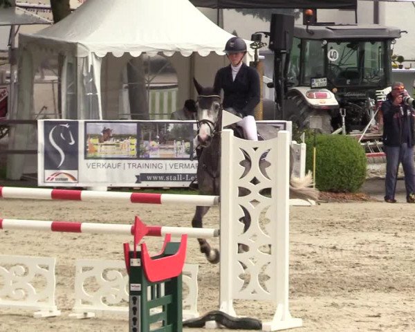 Reitturnier Schnarup-Thumby 2021