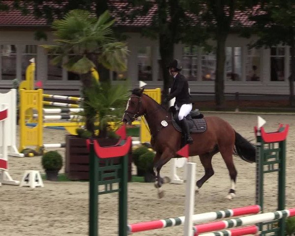 Reitturnier Schnarup-Thumby 2021