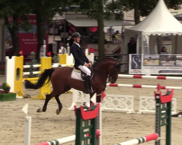 Reitturnier Schnarup-Thumby 2021
