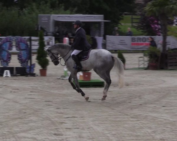 Reitturnier Schnarup-Thumby 2021