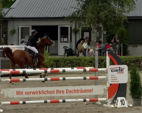 Reitturnier Siegen 2021