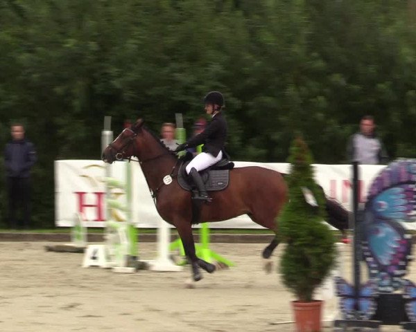 Reitturnier Schnarup-Thumby 2021