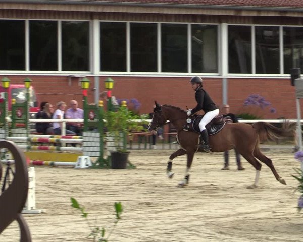 Reitturnier Werne 2021