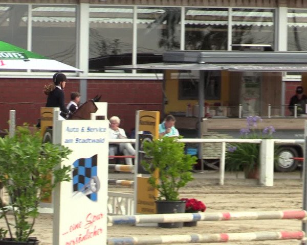 Reitturnier Werne 2021