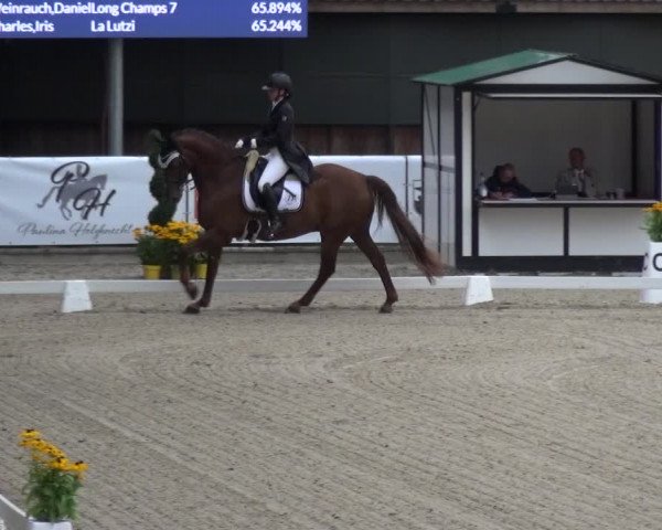 Reitsport Festival am Gut Jagenberg - Solingen 2021