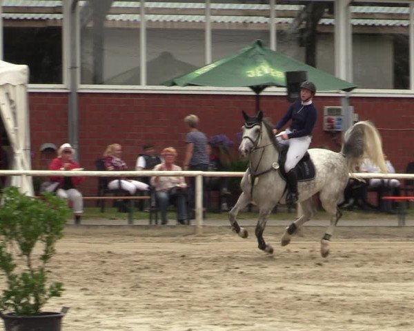 Reitturnier Werne 2021