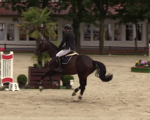 Reitturnier Schnarup-Thumby 2021
