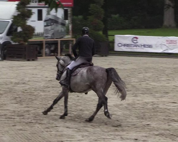 Reitturnier Schnarup-Thumby 2021