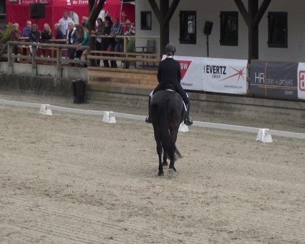 Reitsport Festival am Gut Jagenberg - Solingen 2021
