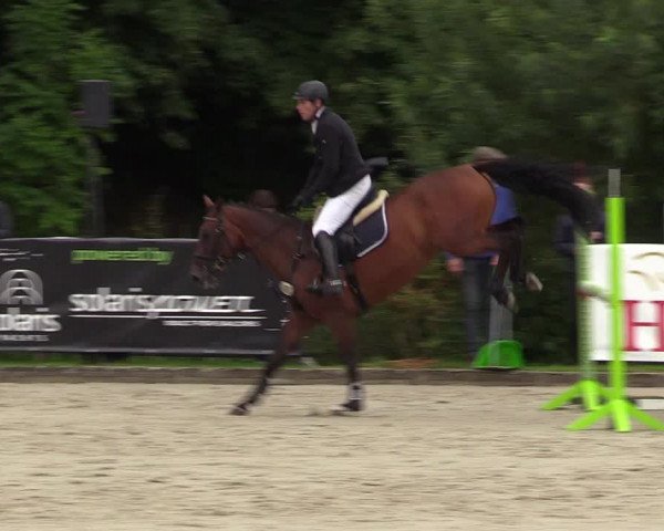 Reitturnier Schnarup-Thumby 2021