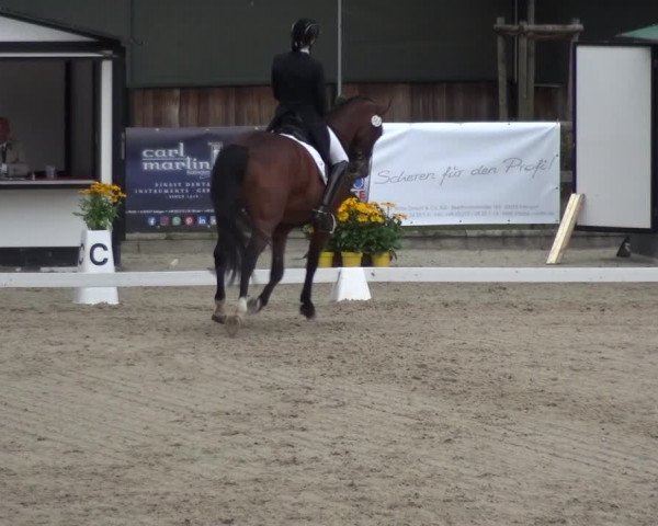 Reitsport Festival am Gut Jagenberg - Solingen 2021