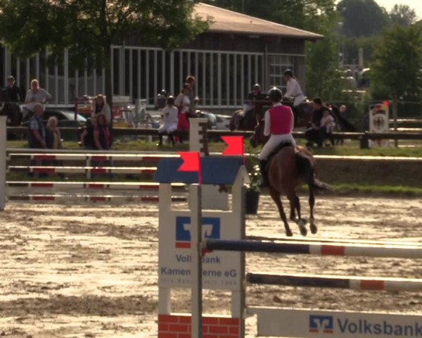 Reitturnier Werne 2021