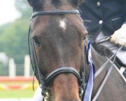 broodmare Lucky Lucy (Westphalian, 2001, from Lamoureux II)