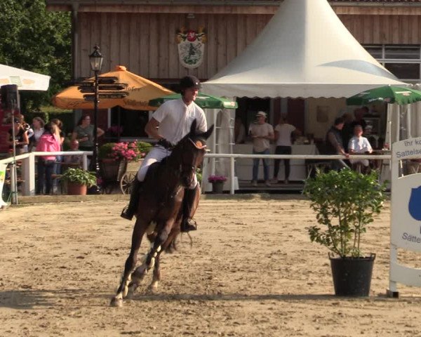 Reitturnier Werne 2021