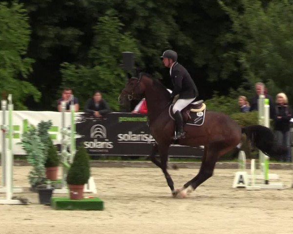Reitturnier Schnarup-Thumby 2021