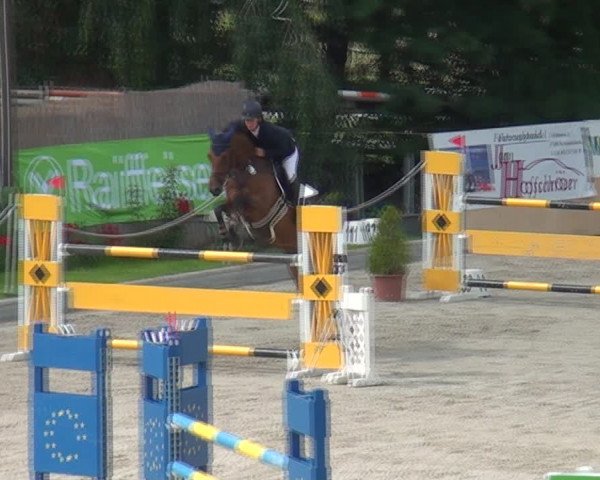 Reitturnier Monheim - Gut Blee 2021