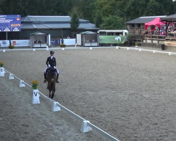 Reitsport Festival am Gut Jagenberg - Solingen 2021
