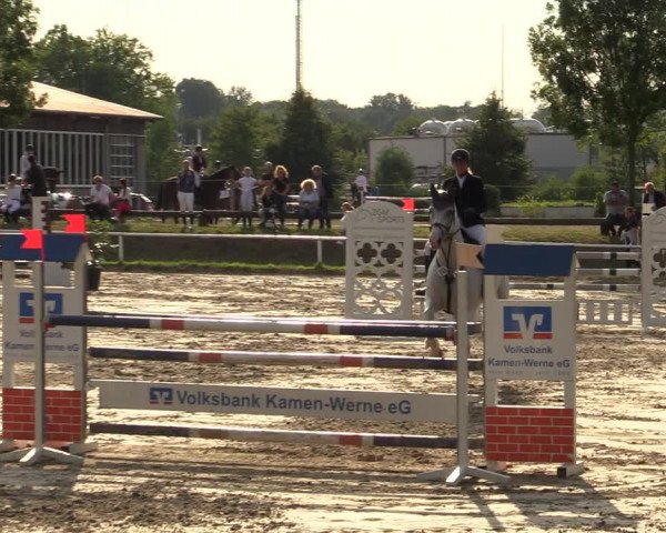 Reitturnier Werne 2021