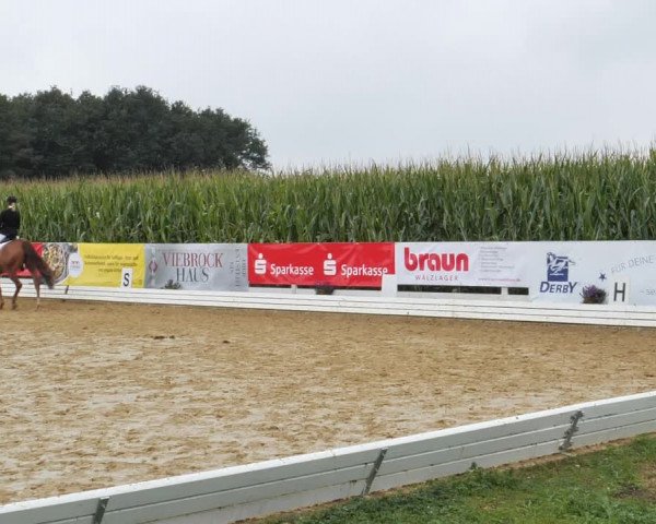 Sommerturnier Ostbevern 2021