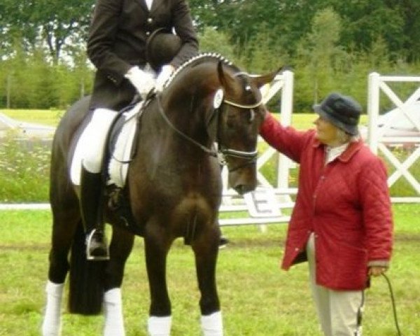 horse Santano (Hanoverian, 2002, from Sandro Hit)