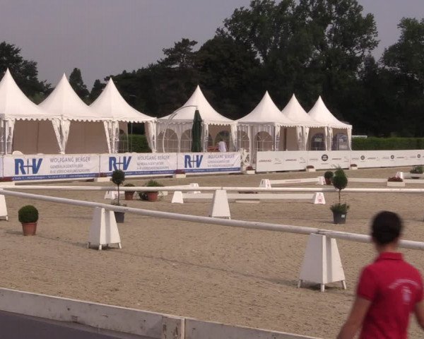 51. Westfälische Eliteschau - Reitpony- und Kleinpferdestuten