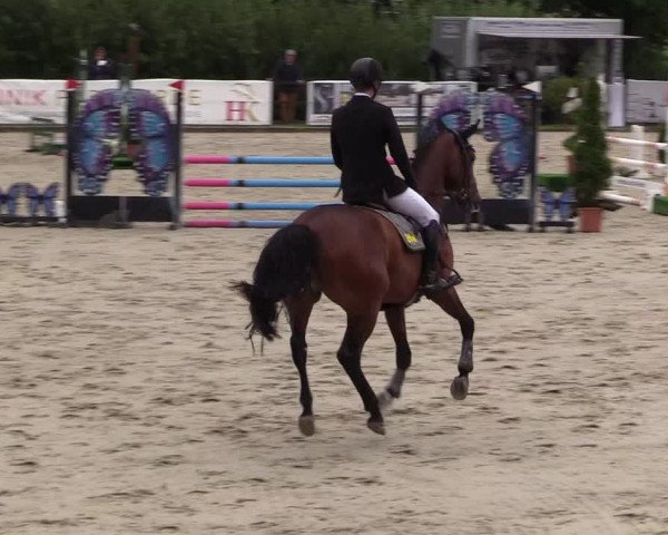 Reitturnier Schnarup-Thumby 2021
