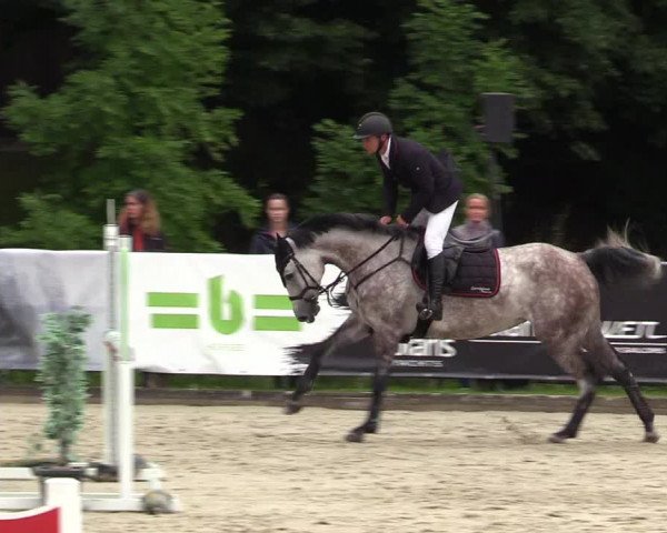 Reitturnier Schnarup-Thumby 2021