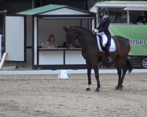 Reitsport Festival am Gut Jagenberg - Solingen 2021