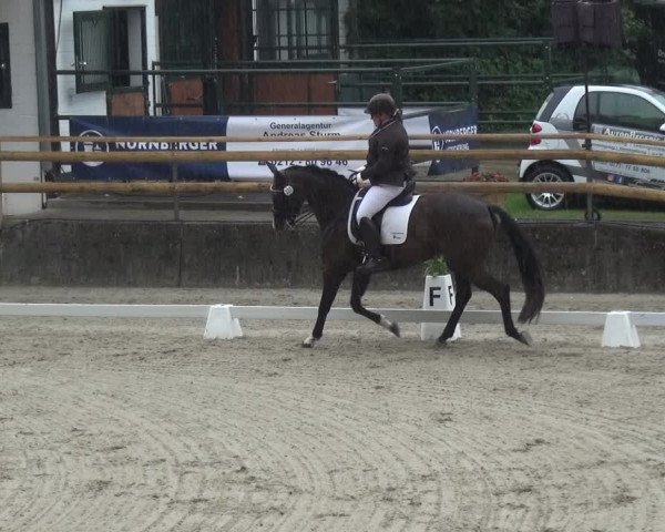Reitsport Festival am Gut Jagenberg - Solingen 2021